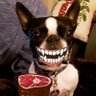 T M's profile picture