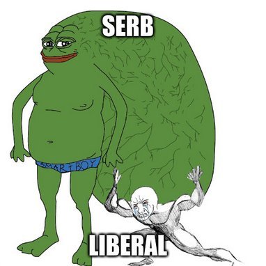 evrotaliban's profile picture