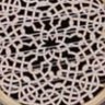 zman arshad's profile picture