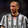 JuvePoland profil fotoğrafı