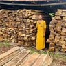 Profilbild von 🦉ABANA PLANK SELLER 🦉