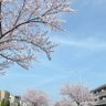 Фото профиля アミナ