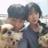 Фото профиля three puppy dady