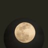 البدر's profile picture