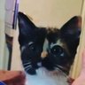 notecreonada's profile picture