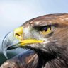 ⵉⵖⵉⵡⵔ profil fotoğrafı