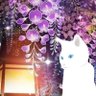 珠子 profil fotoğrafı