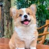 Profilbild von You're Mine❣️