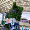 宇仁田(うにた) 的头像