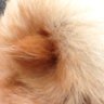 🐕4887🐕 profil fotoğrafı