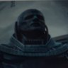 Mycelium World's profile picture