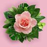 اديب's profile picture