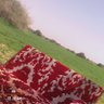 بندر's profile picture