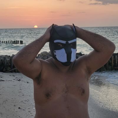 SrLoboMid's profile picture
