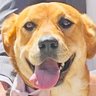 Verklempt's profile picture