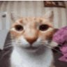AzruFR's profile picture