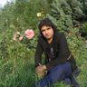 Profilbild von Sayednazir