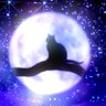 またたび's profile picture