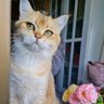 Sa's profile picture
