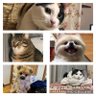 クーとレイ、そしてスカイ profil fotoğrafı