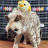 EJCみれどく❤︎miles's profile picture