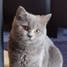 Фото профиля wanwan
