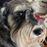 angel's profile picture