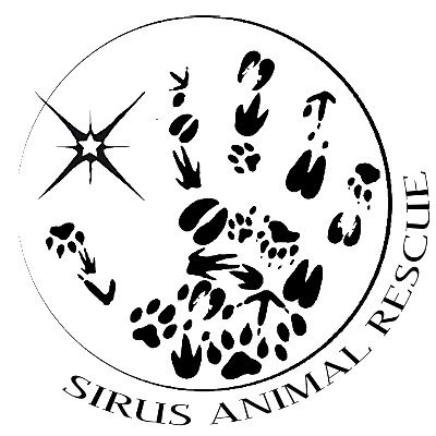 siriusanimalre1's profile picture