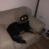 Yoni's profile picture