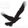 Raaf's profile picture