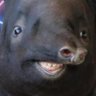 Just some guy online's profile picture
