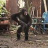 Hakuna Batata 的头像
