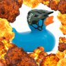 Duck profil fotoğrafı