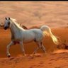 Profilbild von Abdlaah