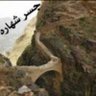 محمد عبدالله 的头像
