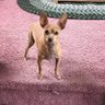 sharon lecompte's profile picture