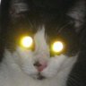 Profilbild von yabada