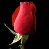 ابومنهل الشميري's profile picture