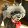 miwa💜244's profile picture