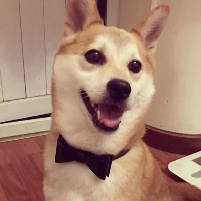 issign's profile picture