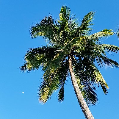 storyboutagirl_'s profile picture