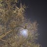 Фото профиля ALI