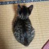 Фото профиля にーな ❦iLYs❦