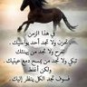 Ziad Khaled's profile picture