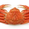 Profilbild von カニ🦀