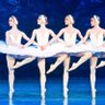 лебединое озеро 🦢🦢 🇺🇦💛💙's profile picture