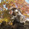 LostinPA profil fotoğrafı