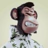 Jason Bob's profile picture