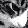 Hilary Hughes's profile picture