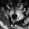 Фото профиля Lone Wolf